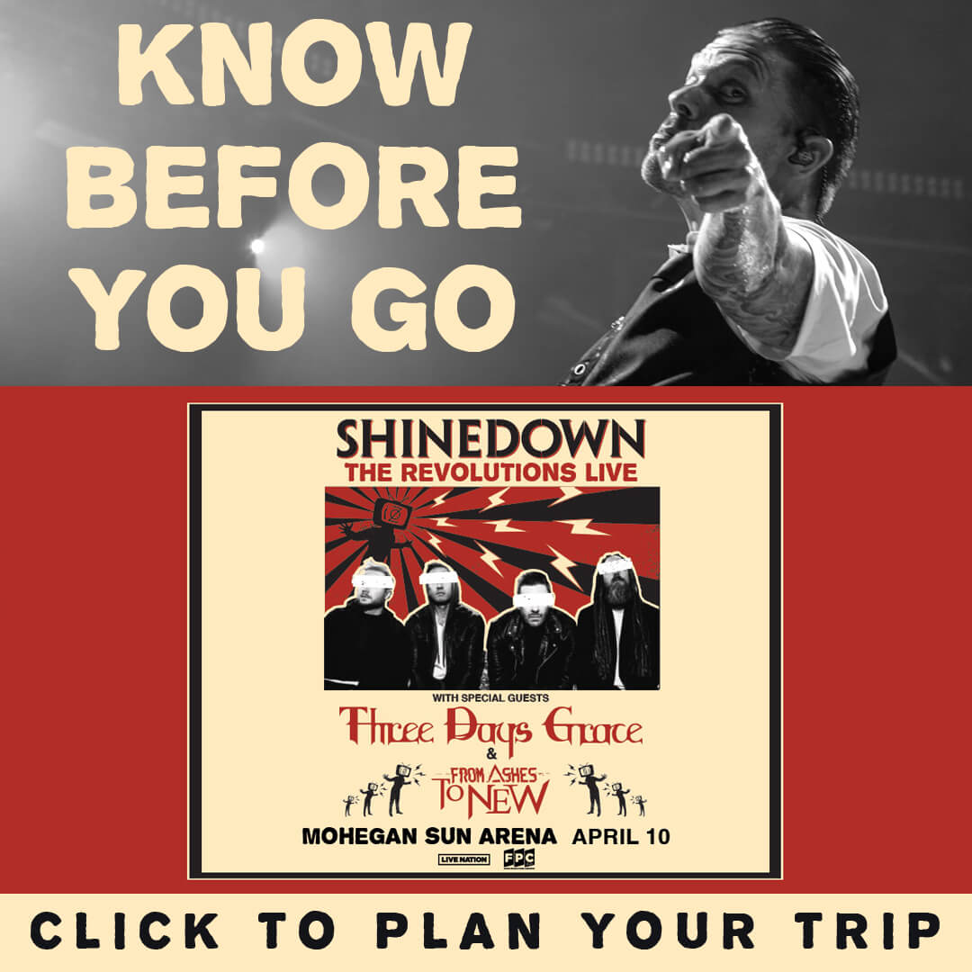 Shinedown Know Before You Go